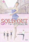 ワガノワこどものためのバレエ辞典 Amazon.co.jp: ワガノワ・バレエ学校のすべて24 こどものための