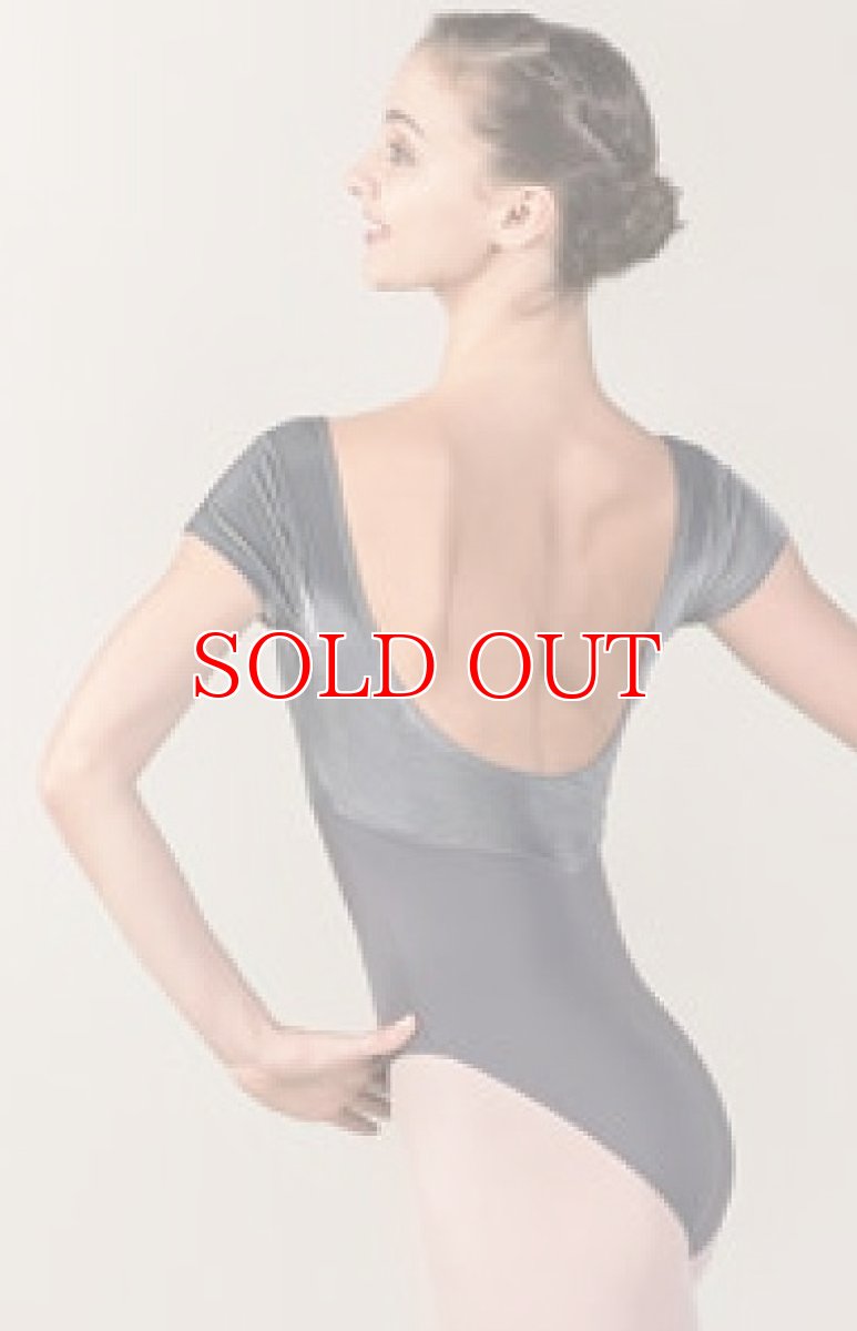 画像3: 廃盤セール｜Ballet  Rosa,バレエローザ VINICE ベロアレオタード【在庫限り】 (3)