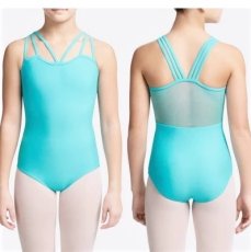 画像1: 廃盤セール｜CAPEZIO メッシュバックレオタード (1)