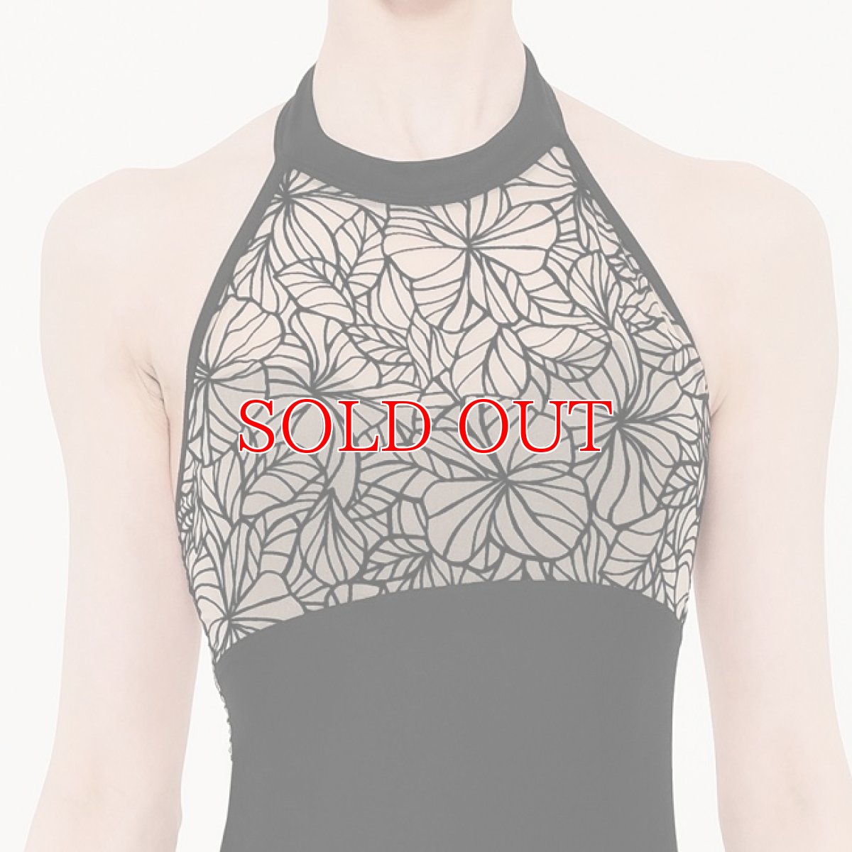 画像3: ★ウェアモア IONAレオタード｜廃盤限定セール (3)