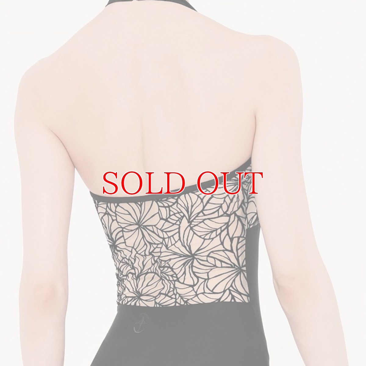 画像4: ★ウェアモア IONAレオタード｜廃盤限定セール (4)