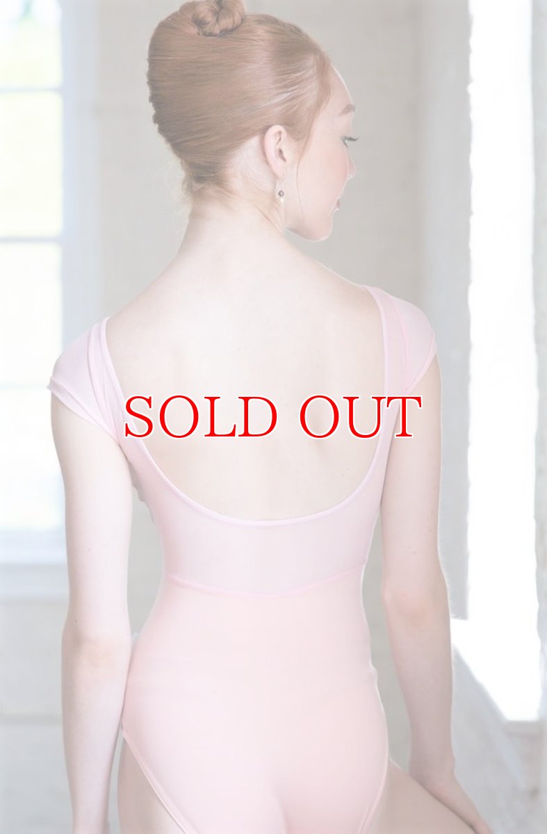 画像2: NY発！Class In レオタード EM505｜数量限定 (2)