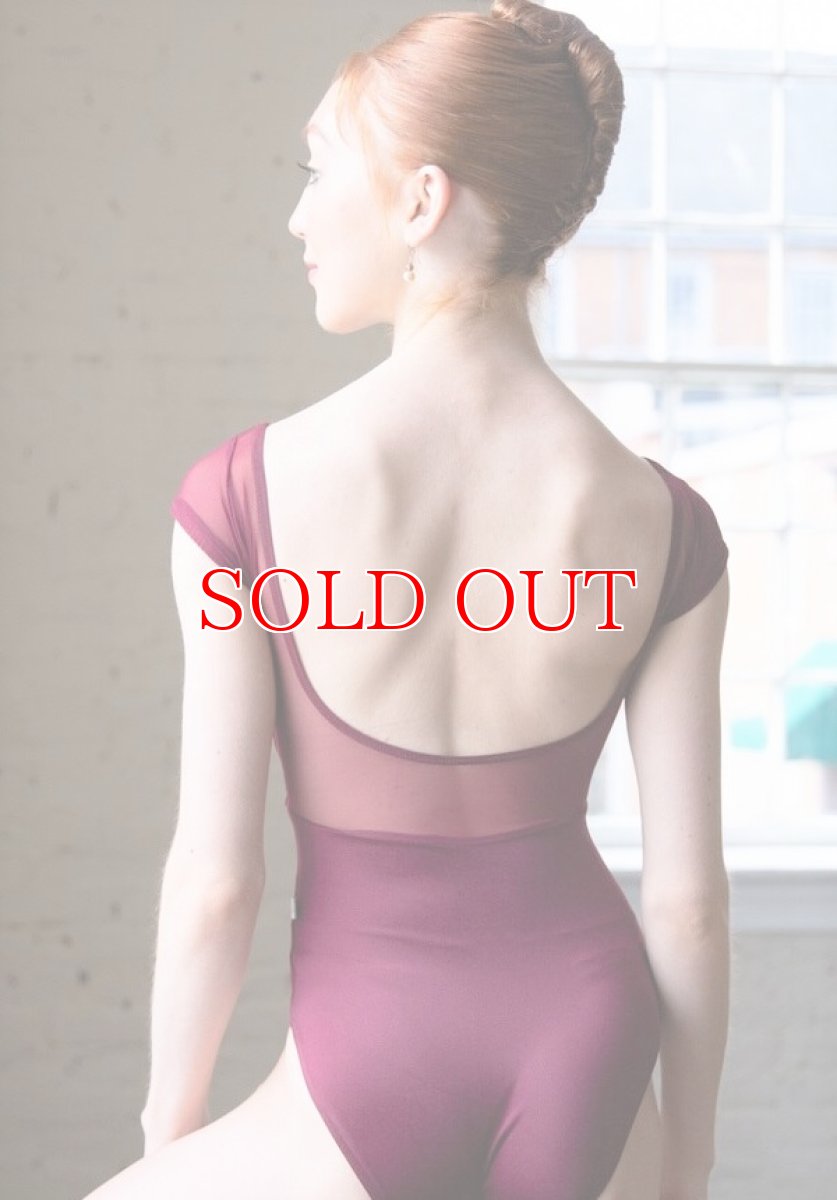 画像2: NY発！Class In レオタード EM503｜数量限定 (2)