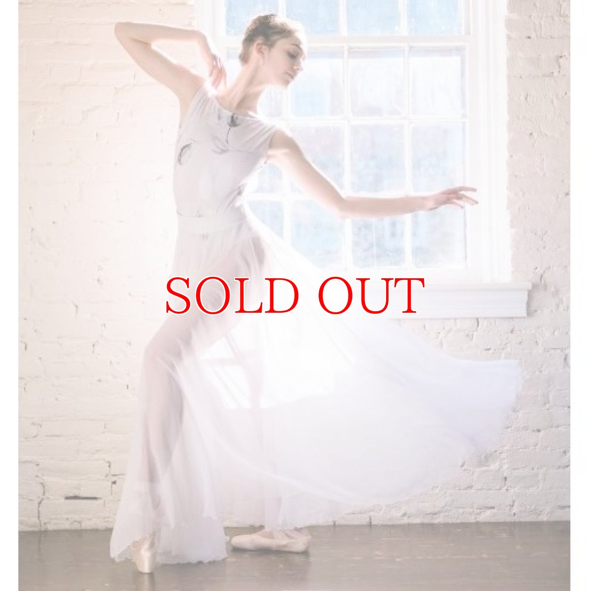 画像2: NY発 Class In レオタード L1020｜在庫限り (2)