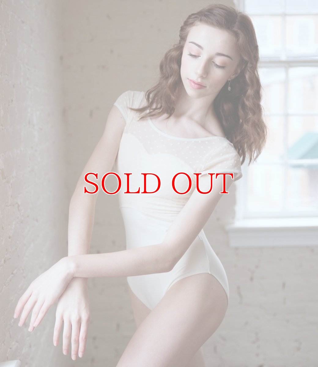 画像2: Class In レオタード 550｜数量限定 (2)