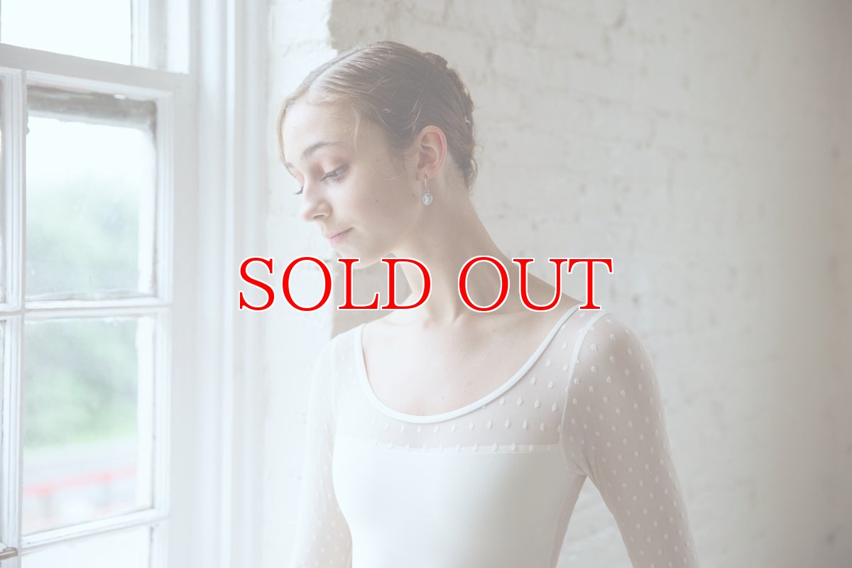 画像5: NY発!Class In レオタード N552|在庫限り (5)