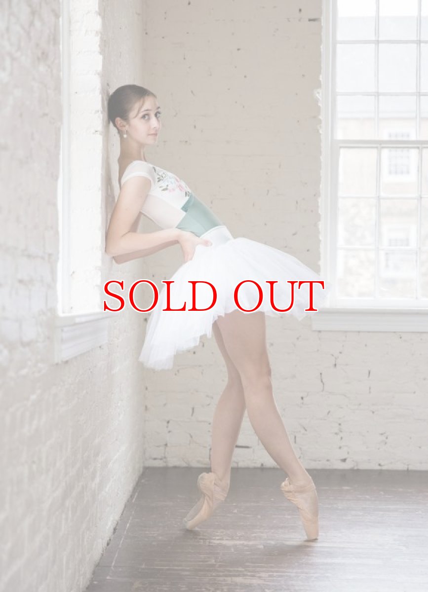 画像4: NY発！ Class In レオタード EM083｜数量限定 (4)