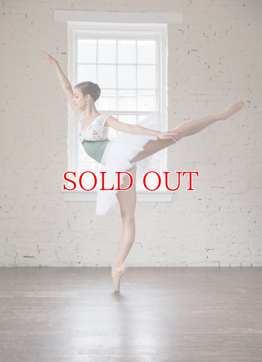 画像5: NY発！ Class In レオタード EM083｜数量限定 (5)