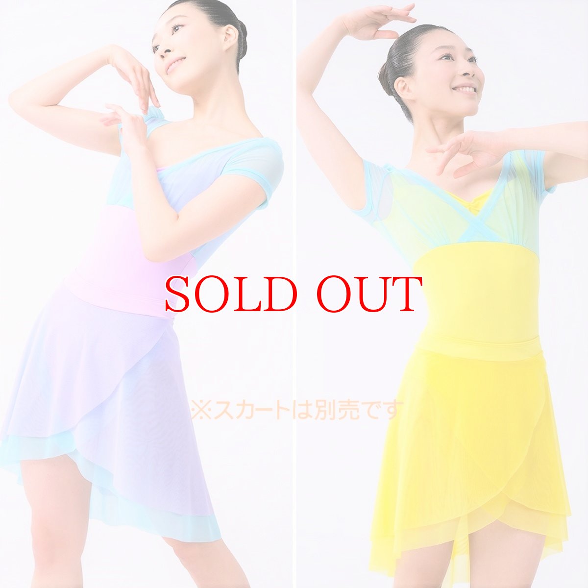 画像1: セール｜グリシコ【Venice Dreams】｜MONZA タンクレオタード (1)