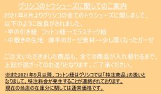 画像3: 大人気【2007プロフレックス】グリシコ トウシューズ (3)