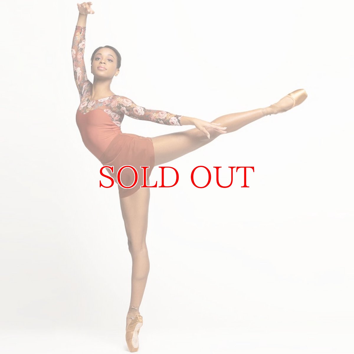 画像4: Eleve Dancewear エレベダンスウェア Vinzant Rhapsody Picante レオタード【数量限定】 (4)