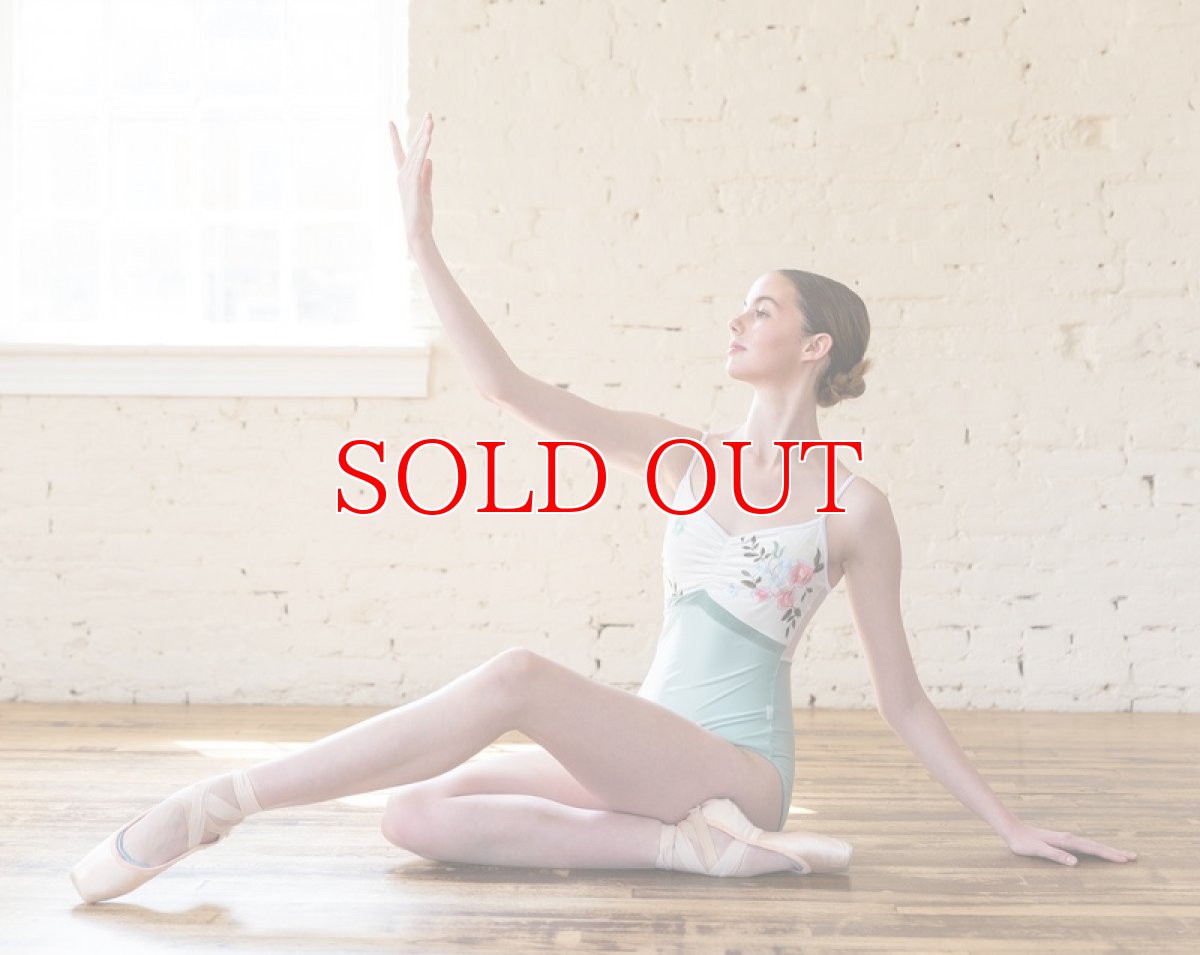 画像3: Class In レオタード EM0064|在庫限り (3)