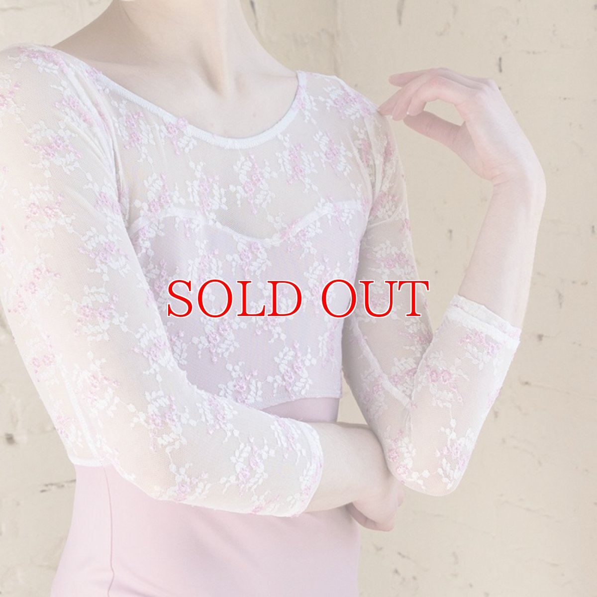 画像3: Class In レオタード 970｜数量限定 (3)