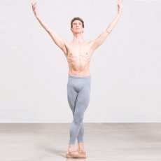 画像5: ウェアモア ALBAN メンズ マイクロファイバー フットレスタイツ (5)